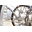 Sprocket Sidekick  12/13 mm